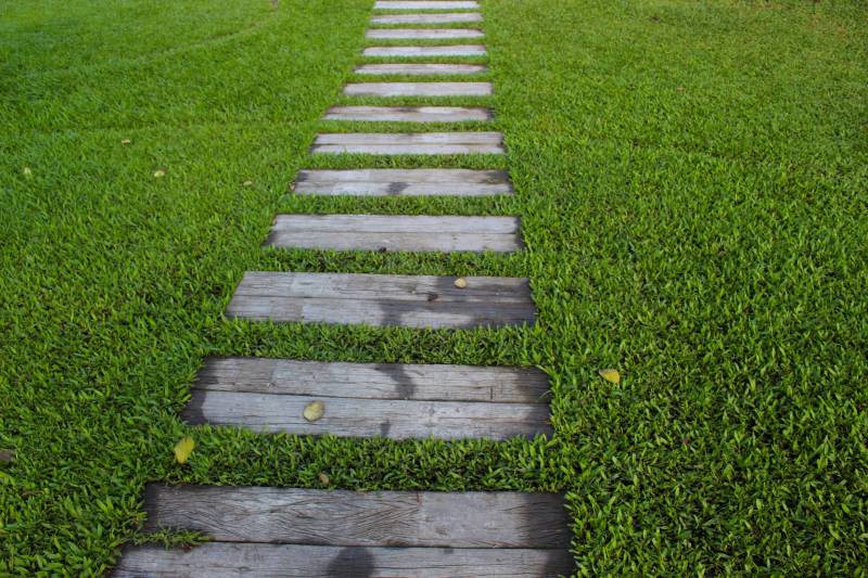 Obtenir un beau jardin rapidement par Jardin Minute, Grimaud