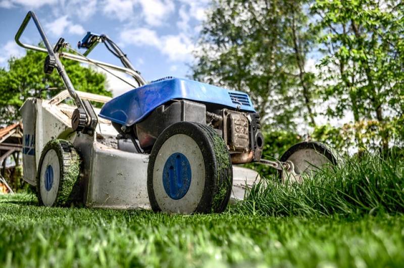 Jardin Minute : conseils pour tondre sa pelouse 