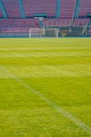 Gazon naturel sport adapté au terrain de foot, Marseille